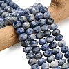 Natural Blue Spot Jasper Beads Strands G-Z111-A32-1