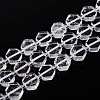 Natural Quartz Crystal Beads Strands G-P534-A23-02-4