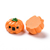 Halloween Opaque Resin Cabochons LS-RESI-D063-15B-3