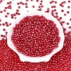 Transparent Glass Seed Beads SEED-N007-33A-04-2