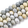 Ombre Effect Dyed Glass Beads Strands GLAA-C023-02-B04-1