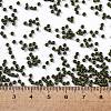 TOHO Round Seed Beads SEED-TR11-0617-4