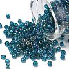TOHO 6/0 Round Beads X-SEED-TR06-0167BD-1