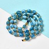 Natural Apatite Beads Strands G-H297-C03-01-2