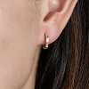 925 Sterling Silver Micro Pave Cubic Zirconia Hoop Earrings LC7208-2-2