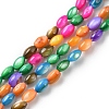 Natural Freshwater Shell Dyed Beads Strands SHEL-R129-06-1