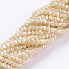 Electroplate Glass Beads Strands GLAA-F078-FR08-1