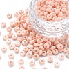 6/0 Glass Seed Beads SEED-T005-14-B02-1