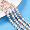 Natural Cultured Freshwater Pearl Beads Strands PEAR-N013-05C-03-1