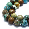 Natural Turquoise Beads Strands G-K245-A16-05-3