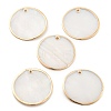 Natural Shell Pendants SHEL-Z002-03-1