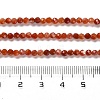 Natural South Red Agate Beads Strands G-Z074-A02-01B-5