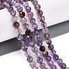 Natural Purple Lodolite Quartz/Purple Phantom Quartz Beads Strands G-T140-21A-2