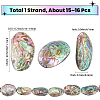 1 Strand Natural Abalone Shell/Paua Shell Beads Strands SSHEL-SC0001-64-2