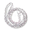Transparent Electroplate Glass Beads X1-GLAA-K064-05A-PL06-2