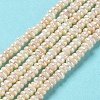 Natural Cultured Freshwater Pearl Beads Strands PEAR-J007-62-2