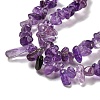 Natural Amethyst Beads Strands X-G-G0003-B44-4
