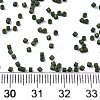 11/0 Grade A Glass Seed Beads X-SEED-S030-1021-4