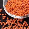 8/0 Glass Seed Beads X2-SEED-A010-3mm-50-1