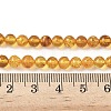 Natural Amber Beads Strands G-L095-B01-5mm-02-5