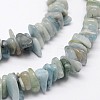 Chips Natural Aquamarine Beads Strands G-N0164-13-2