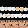 Natural Freshwater Shell Beads Strands SHEL-N026-67A-4