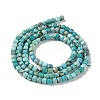 Natural HuBei Turquoise Beads Strands G-P514-B07-02-3