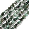 Natural Emerald Beads Strands G-P497-01E-15-1