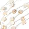 Natural Freshwater Shell Beads Strands SHEL-K006-52B-1