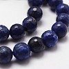 Natural Lapis Lazuli Beads Strands X-G-D840-38-8mm-3