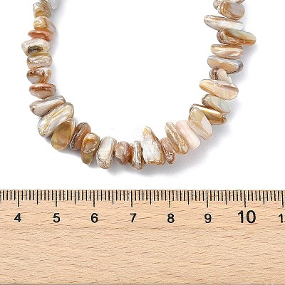 Natural Freshwater Shell Chip Beaded Necklaces NJEW-JN06271-1