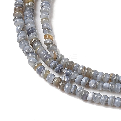 Natural Freshwater Shell Beads Strands X-SHEL-P017-01A-13-1