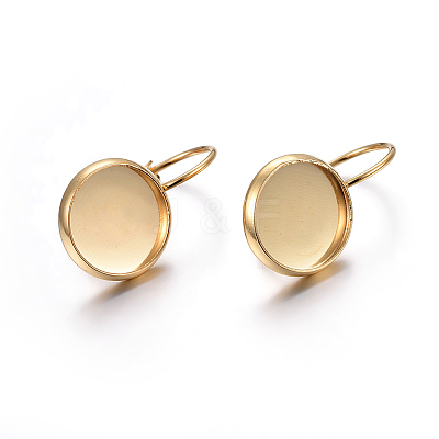 304 Stainless Steel Leverback Earring Settings X-STAS-F191-03G-10mm-1