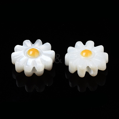 Natural Freshwater Shell Beads X-SHEL-N003-20B-01-1