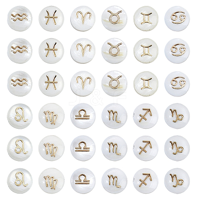 36Pcs 12 Styles Natural White Shell Beads SHEL-FH0001-27-1