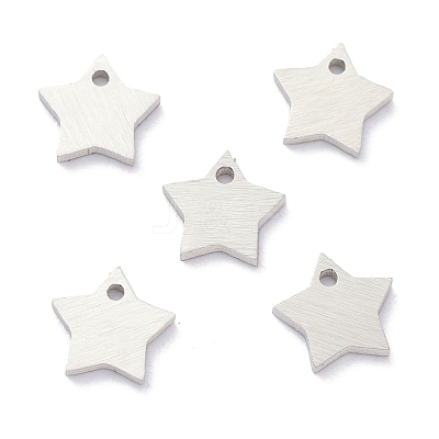 Tarnish Resistant 304 Stainless Steel Pendants STAS-K216-46P-1