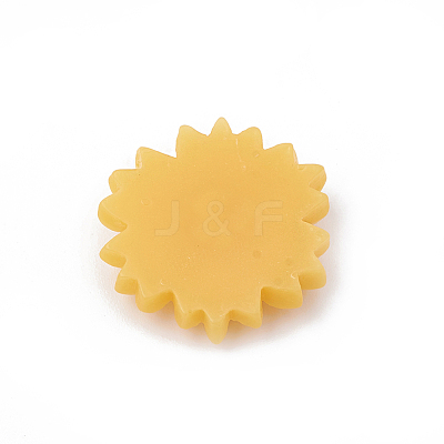 Resin Cabochons CRES-N007-10F-1