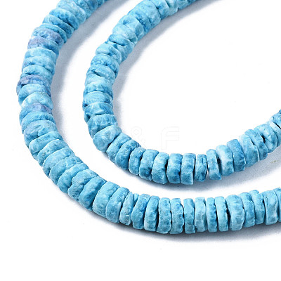 Natural Sea Shell Beads Strands SSHEL-N032-22B-1