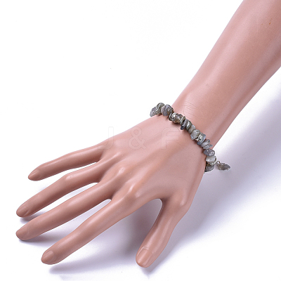 Natural Labradorite Chip Bracelets BJEW-JB04489-03-1