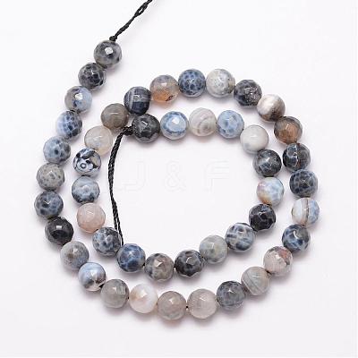 Natural Fire Crackle Agate Bead Strands G-K166-07F-8mm-05-1