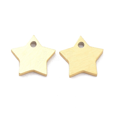 Ion Plating(IP) 304 Stainless Steel Pendants STAS-K216-46G-1