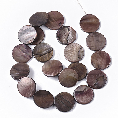 Freshwater Shell Beads Strands SHEL-T014-011-1