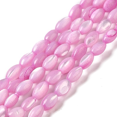 Natural Trochus Shell Beads Strands X-SHEL-K006-19A-1