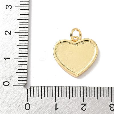Brass Micro Pave Cubic Zirconia with Resin Pendants KK-L239-058G-1