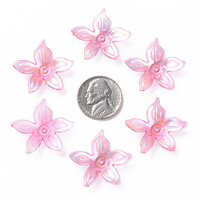 Transparent Acrylic Beads MACR-S373-102-C01-1