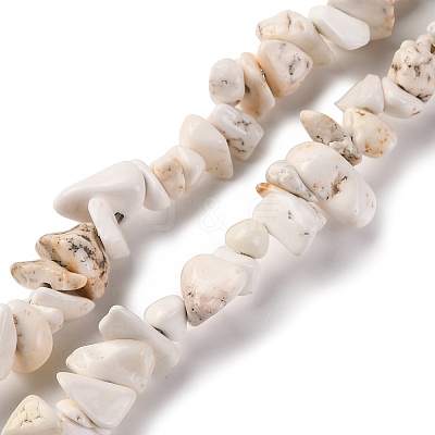 Magnesite Chip Bead Strands G-M205-75-1
