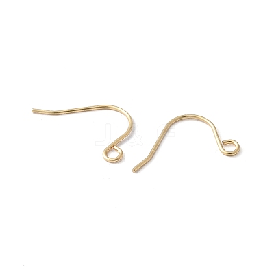 316 Surgical Stainless Steel Earring Hooks STAS-Z124-02C-G-1