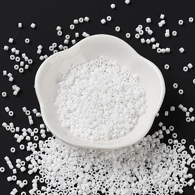 Opaque Colours Glass Seed Beads SEED-S042-09A-02-1