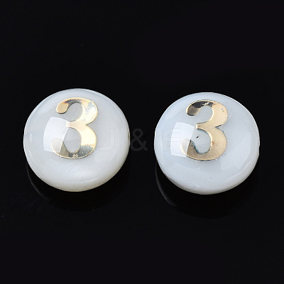 Natural Freshwater Shell Beads SHEL-N003-20-03-1