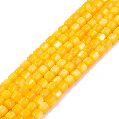 Natural Freshwater Shell Beads Strands SHEL-N003-33-A08-1
